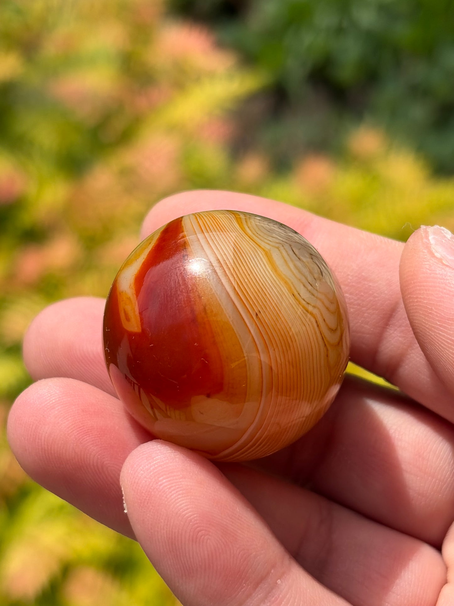Sardonyx Sphere B