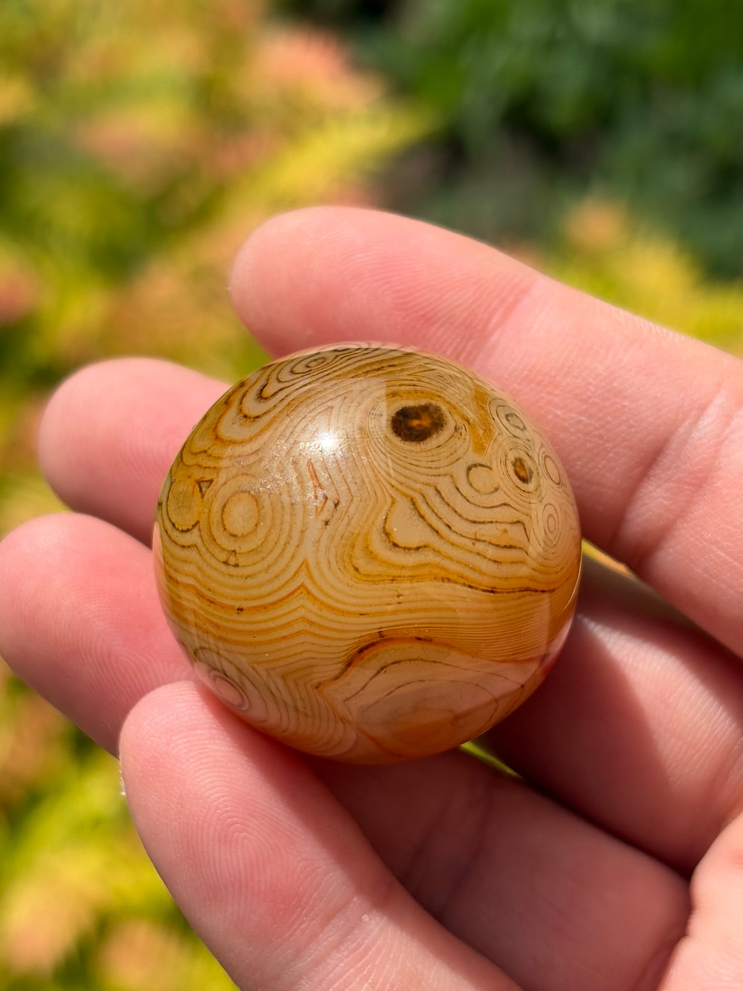 Sardonyx Sphere B