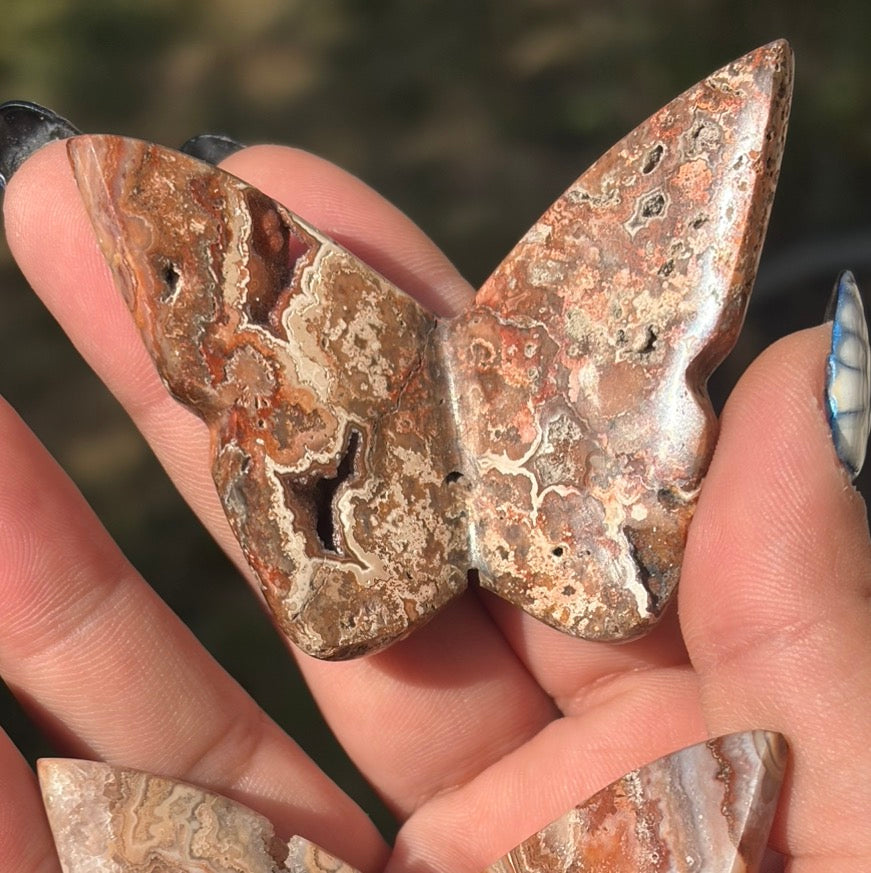 Indonesian Agate 3D Butterflies - Choose Your Own