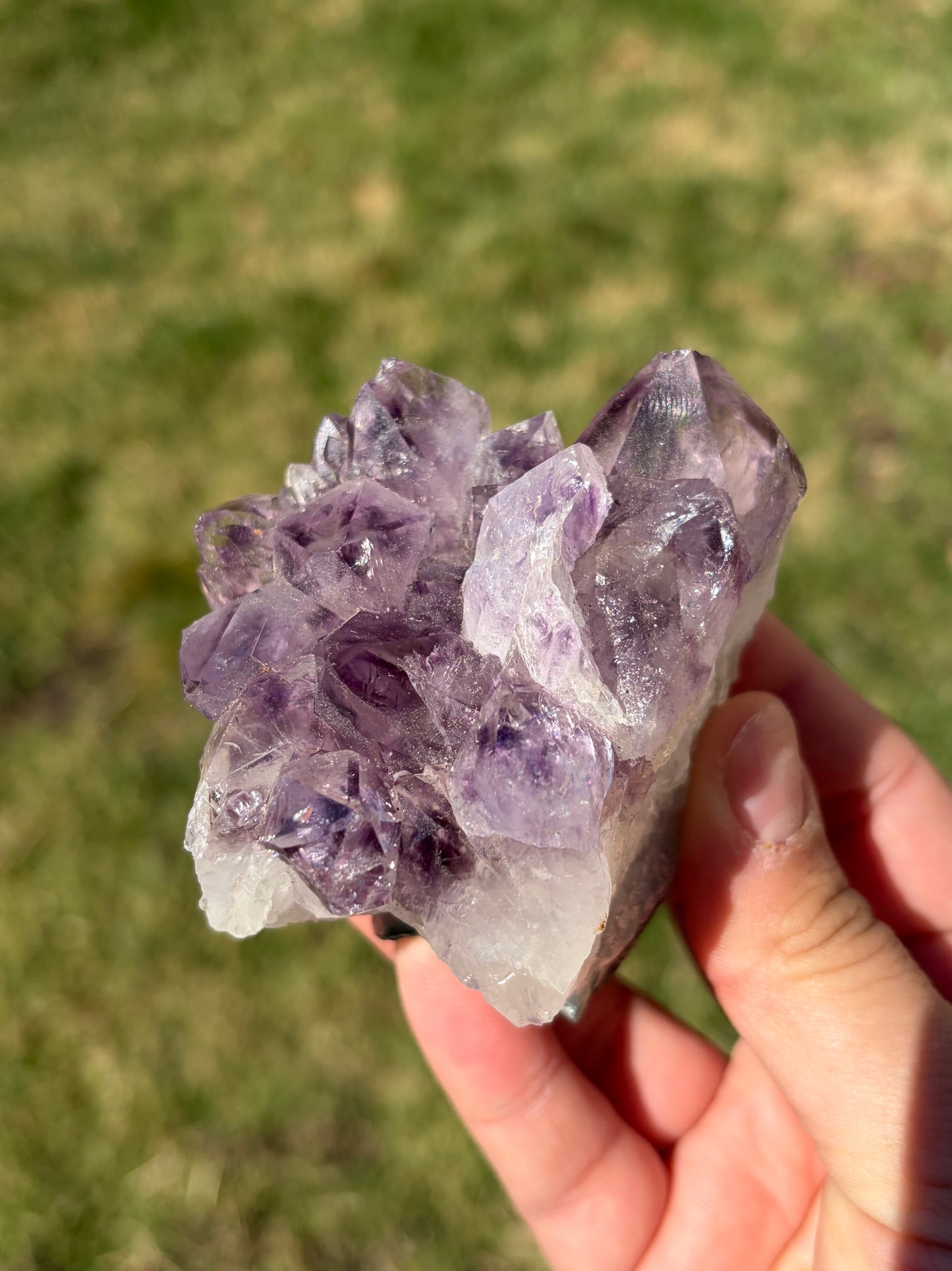 Amethyst Cluster