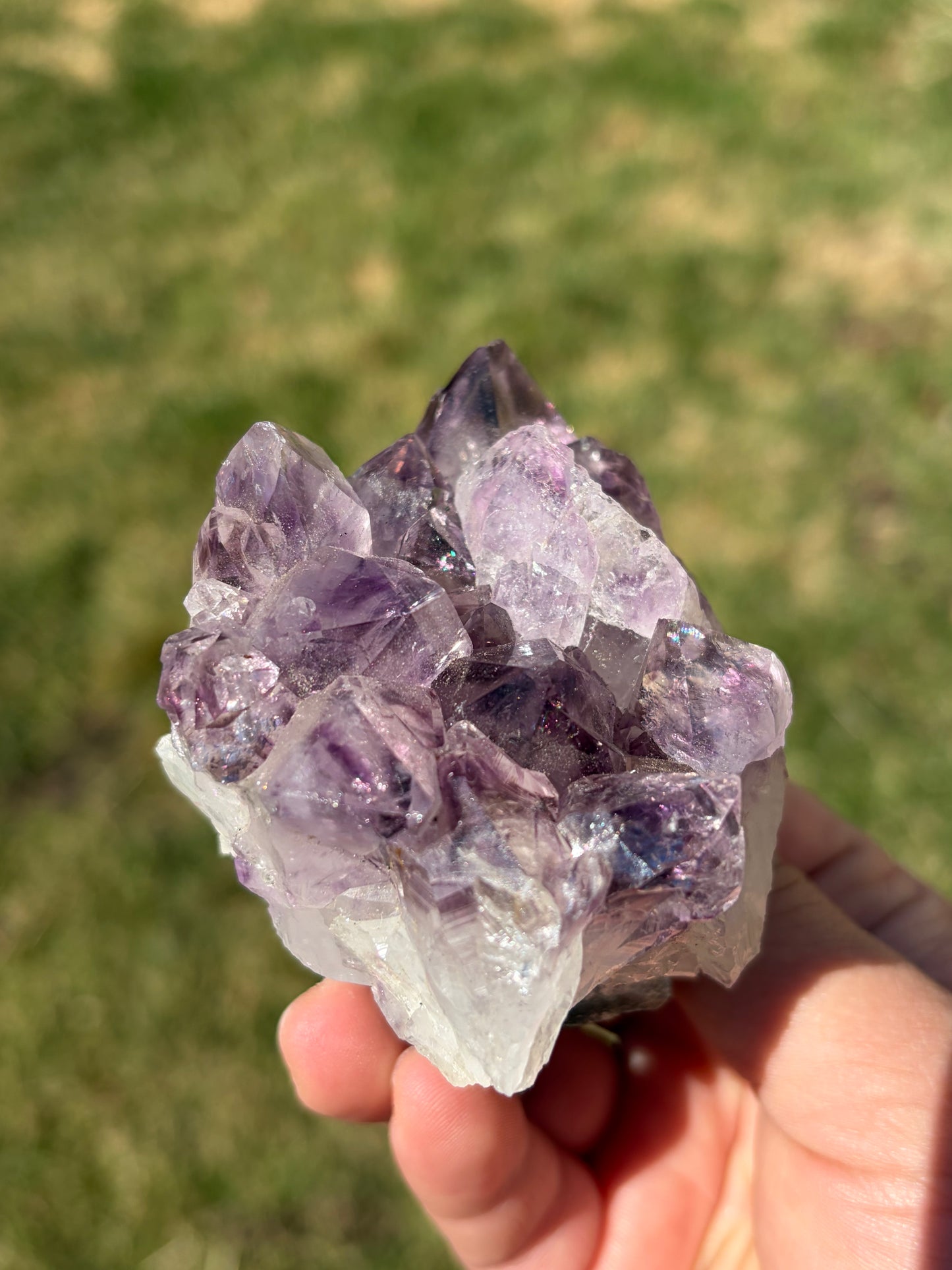 Amethyst Cluster