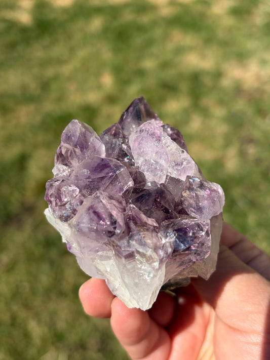Amethyst Cluster