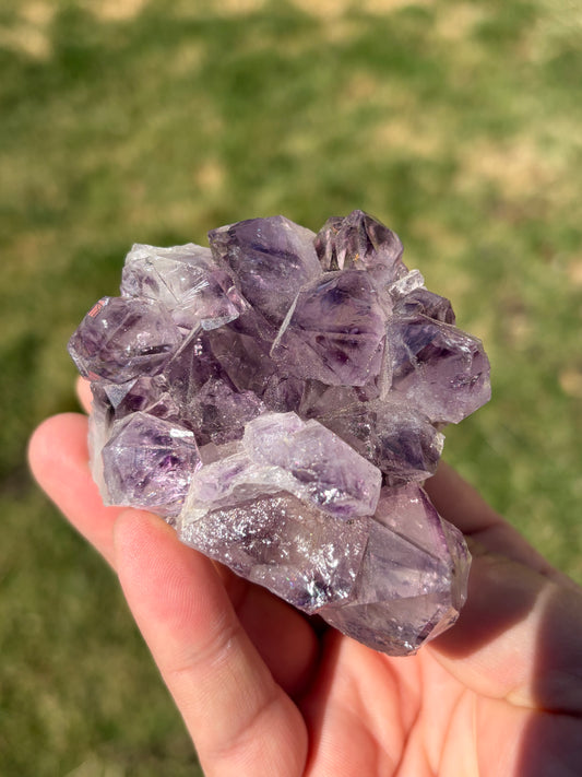 Amethyst Cluster