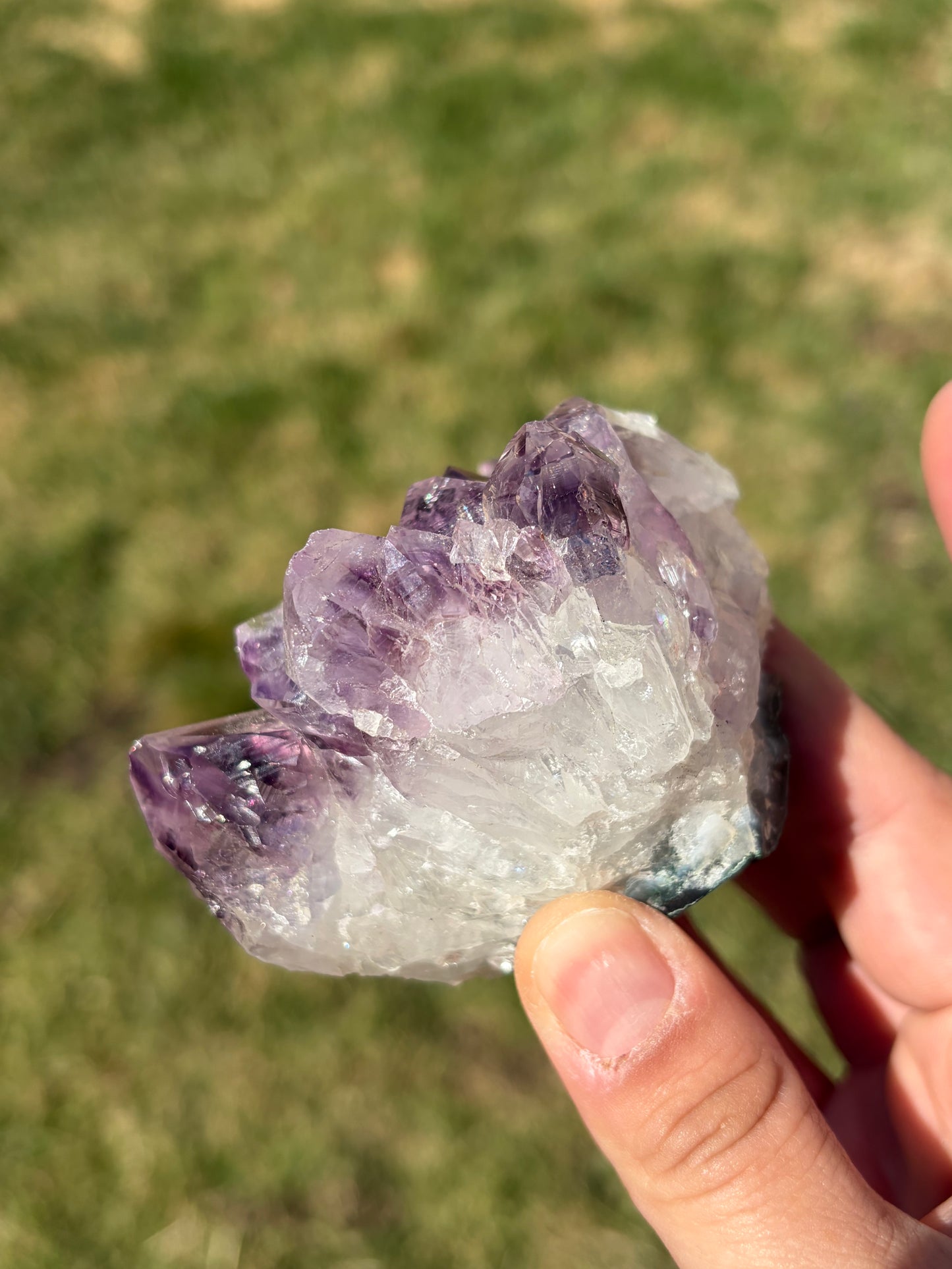 Amethyst Cluster