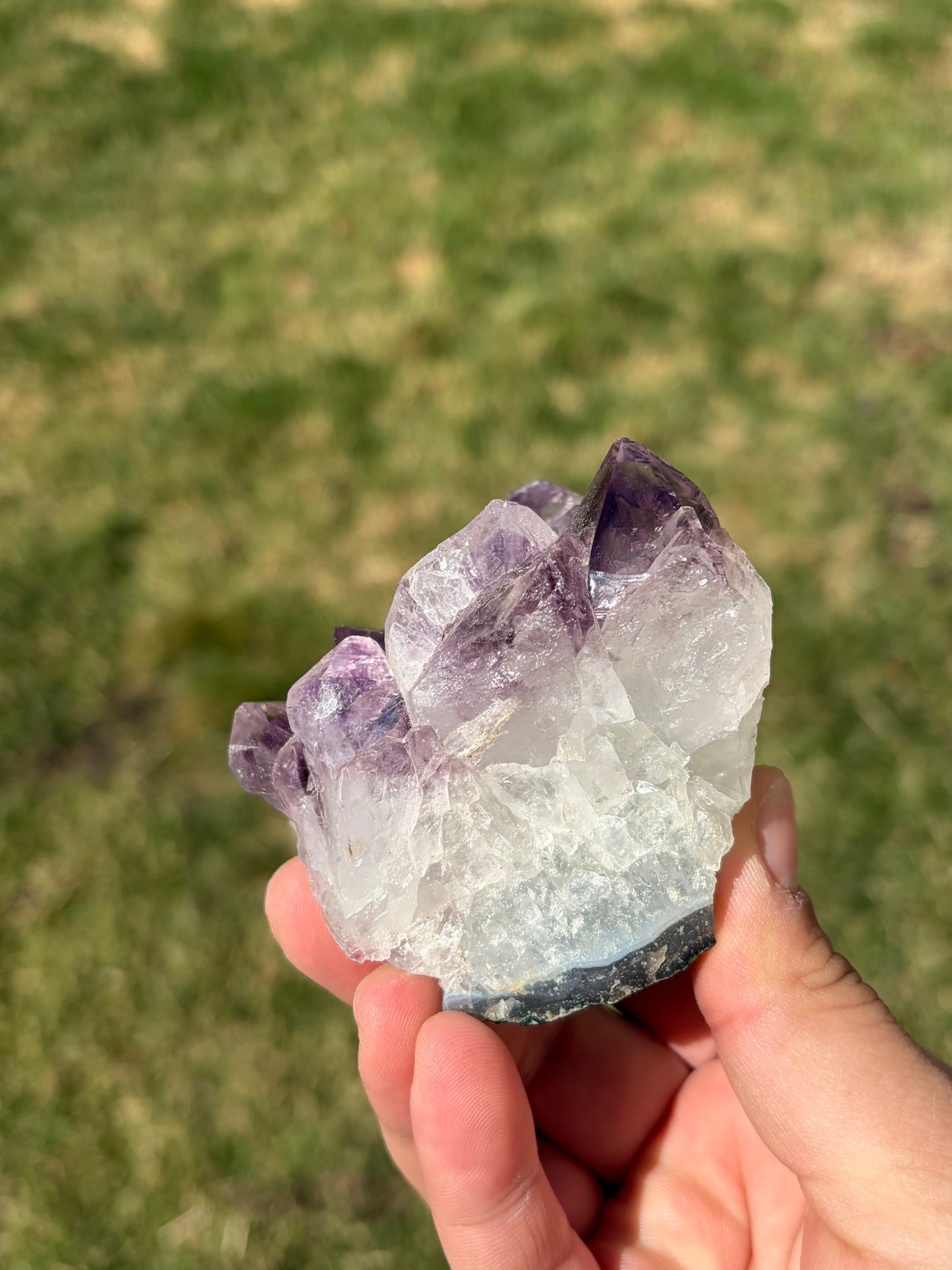 Amethyst Cluster
