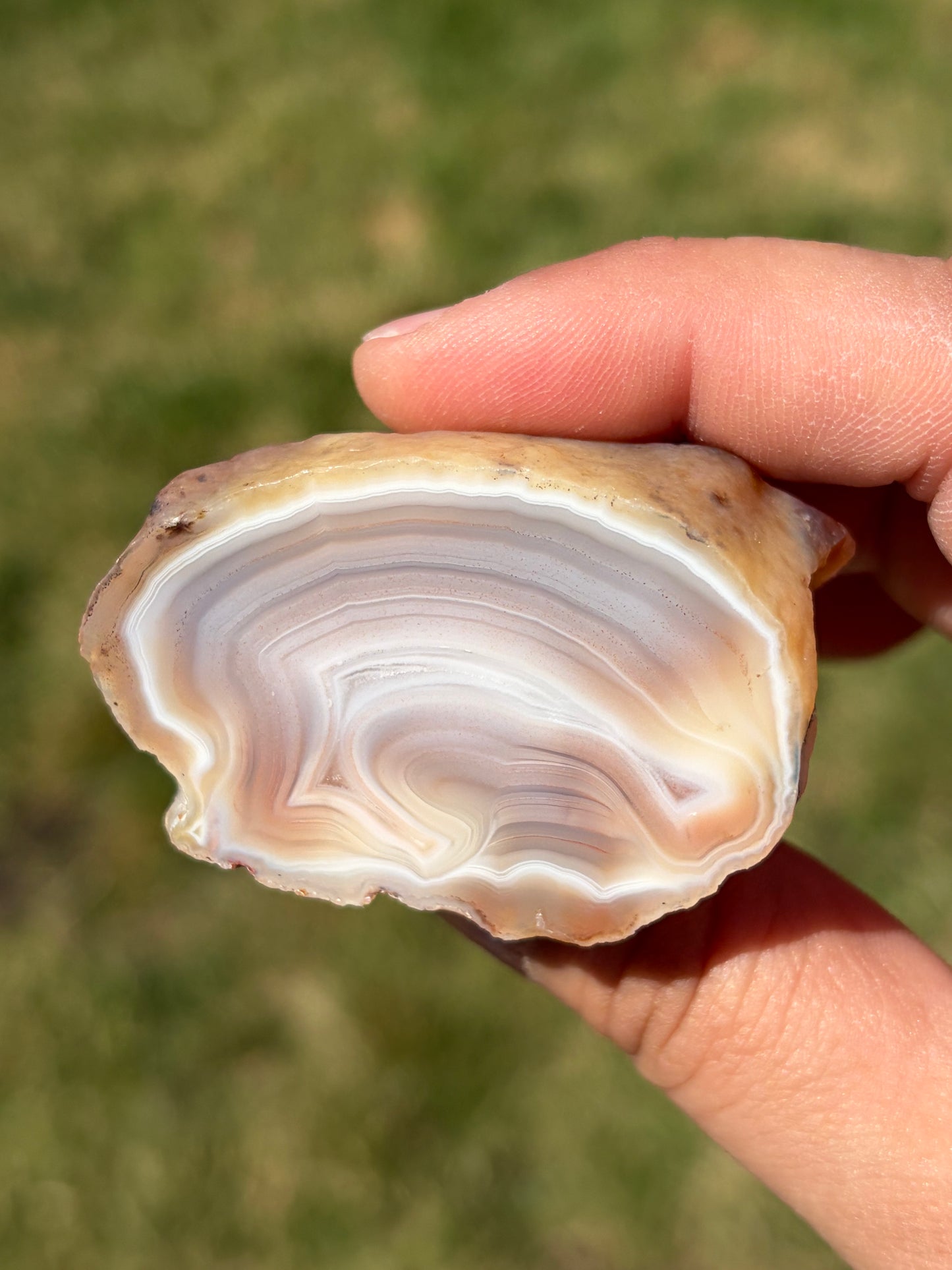 Berwyn Agate