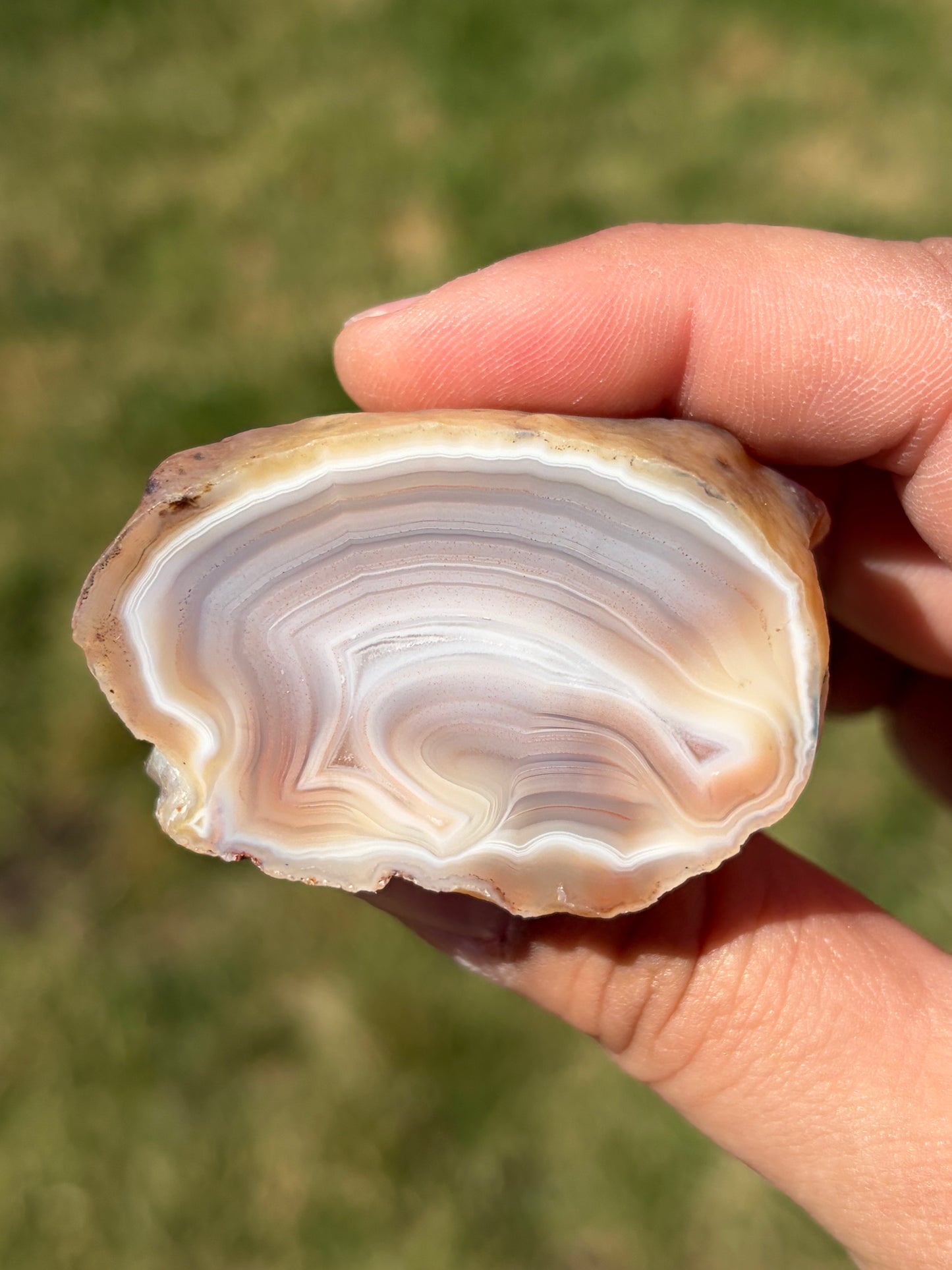Berwyn Agate