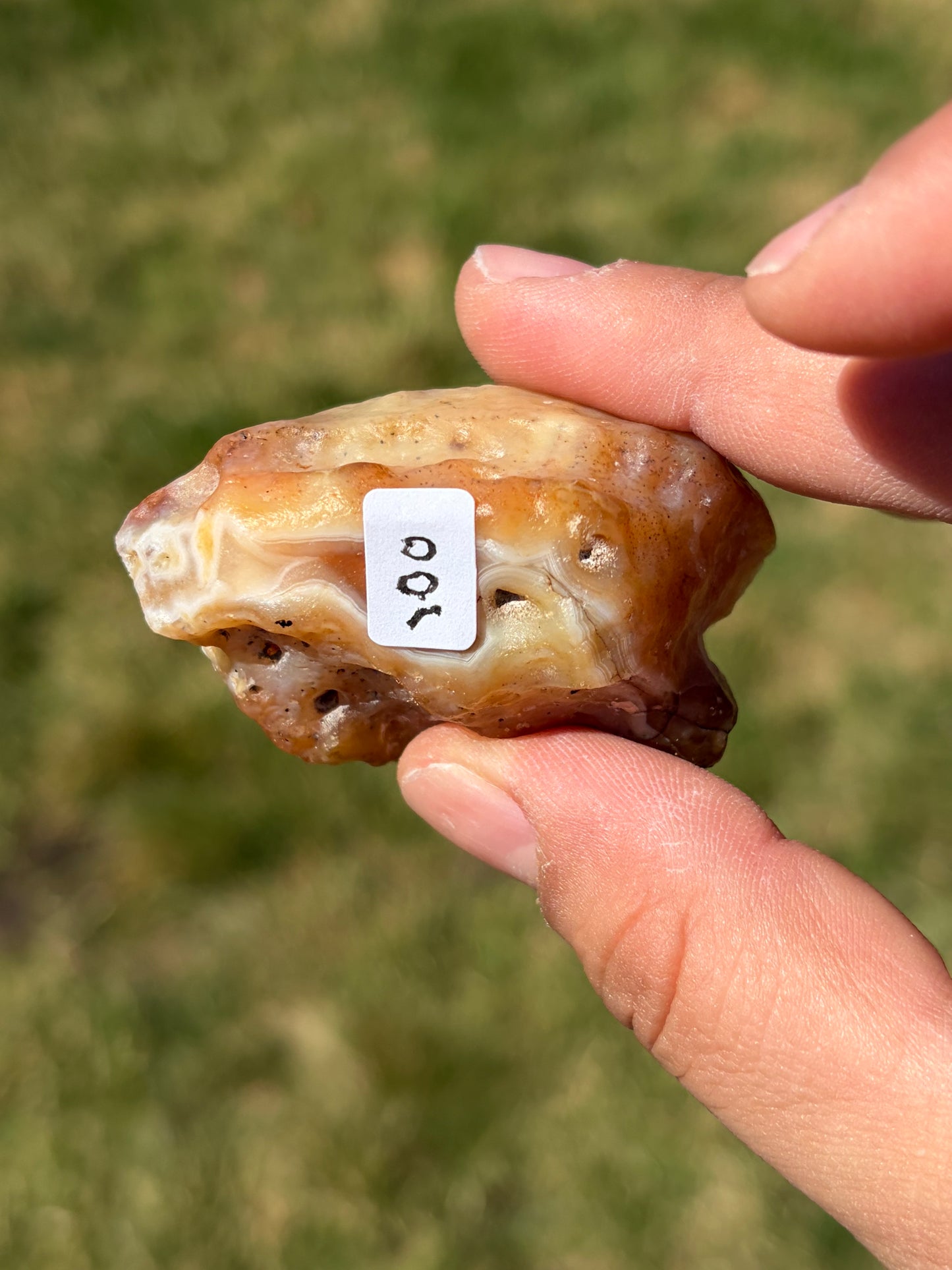 Berwyn Agate