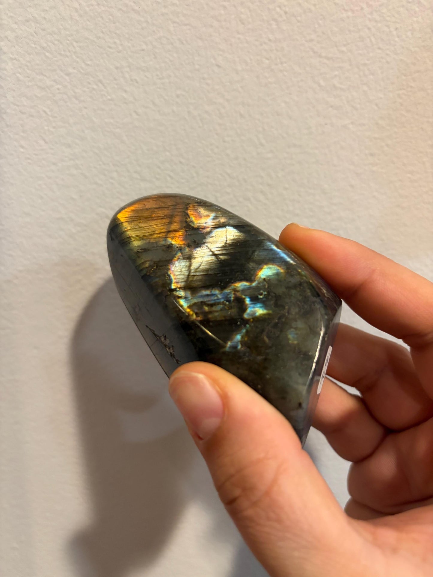 Labradorite Freeform w/ Rainbow Flash - Lrg