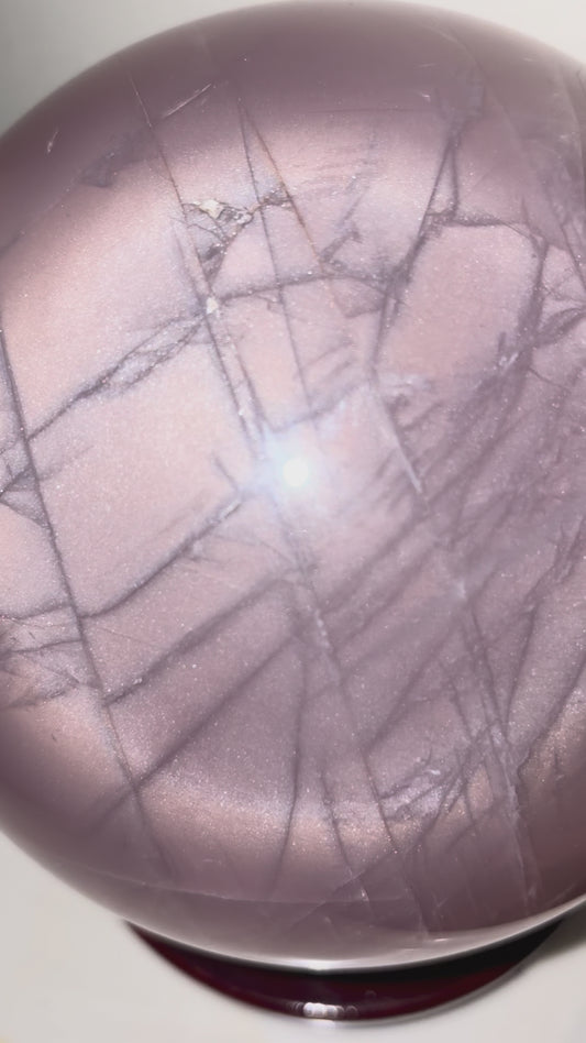XXL 12-Ray Star Lavender Rose Quartz Sphere (12+ lbs)