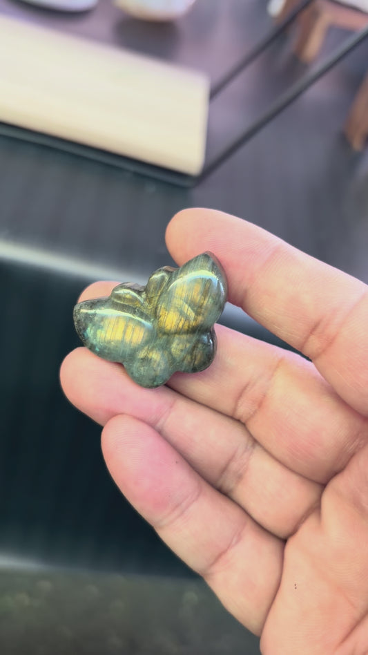 Labradorite Butterfly Carvings - 2D