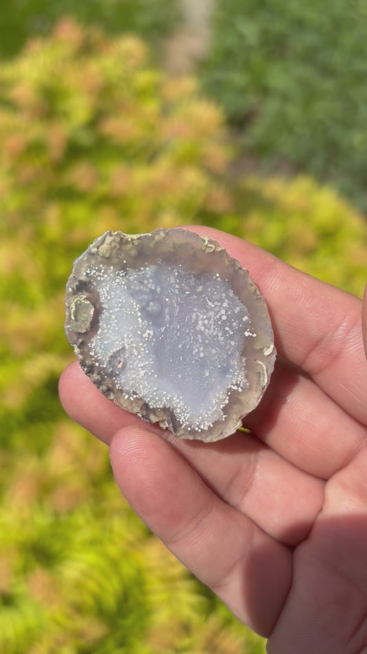 Starry Night Agate from Arizona